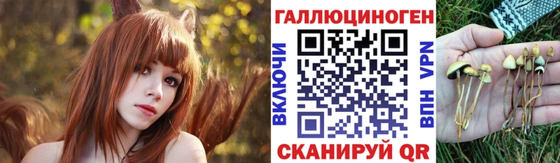 Галлюциногенные грибы прущие грибы  купить  сайты  Комсомольск 